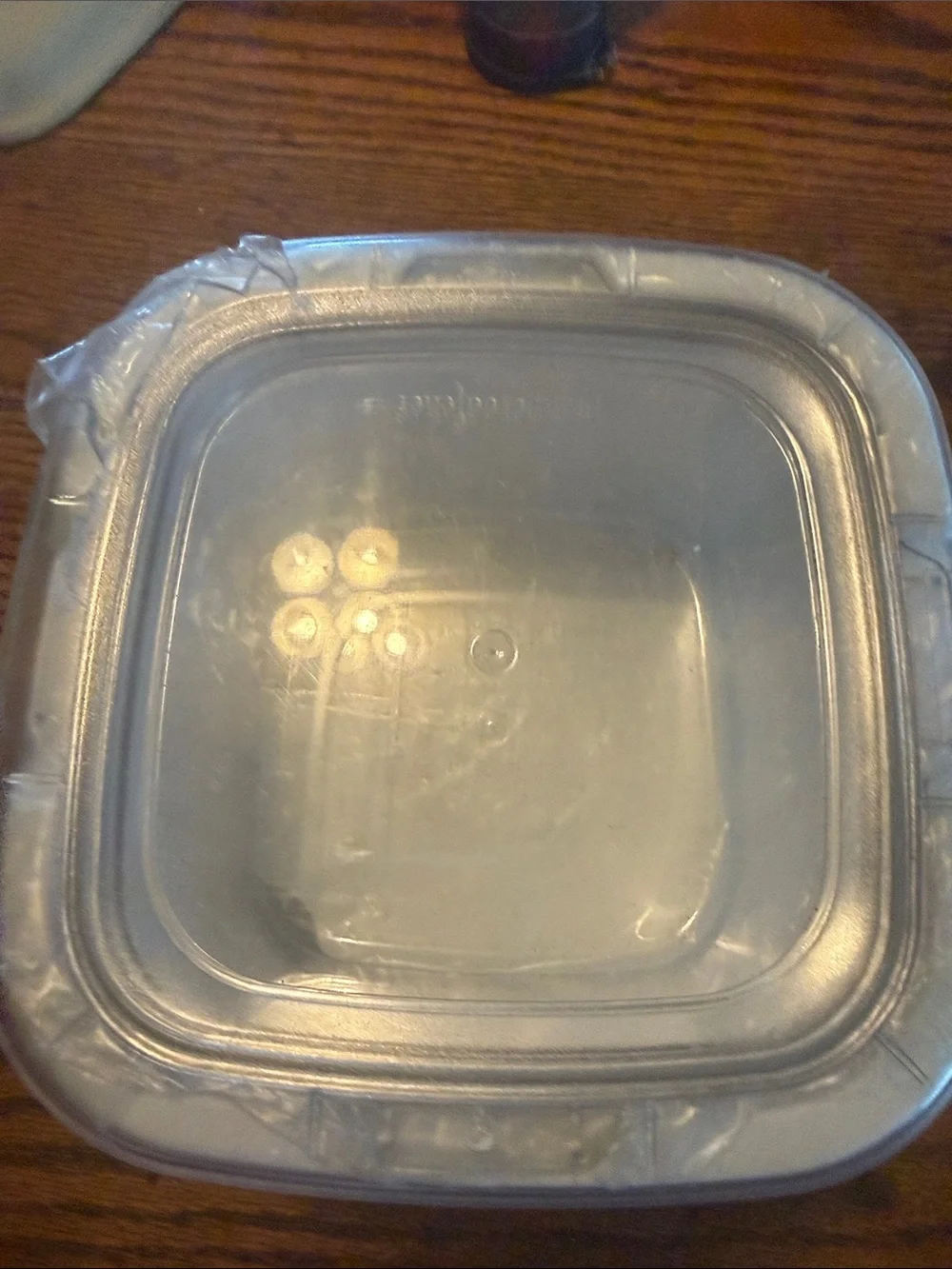 Pampered Chef 1 Quart Cool Serve Plastic Square Food Storage Container with Lid